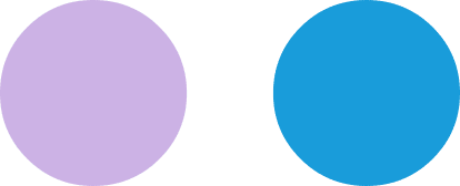 Membre du Comit&eacute; d&rsquo;Audit et Membre du Comit&eacute; Durabilit&eacute;