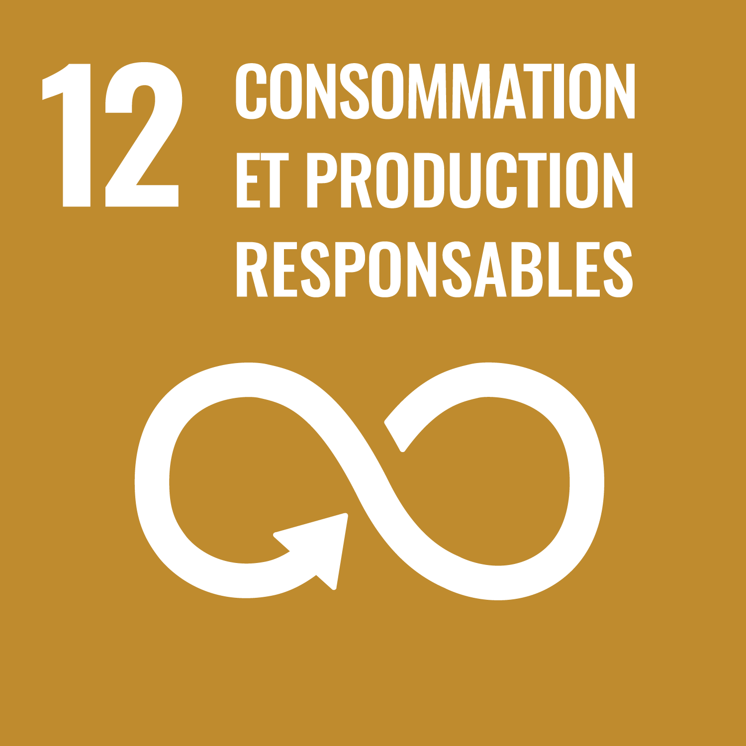 Ic&ocirc;ne ODD 12 &ndash; Consommation et production responsables.