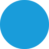 Member of the Sustainability Committee