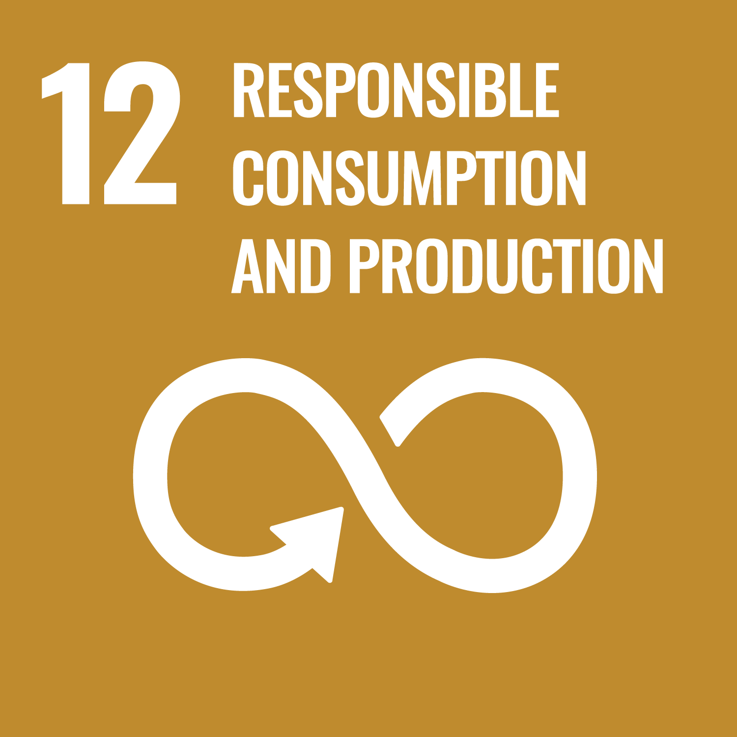 ODD Icon 12: RESPONSIBLE CONSUMPTION AND PRODUCTION