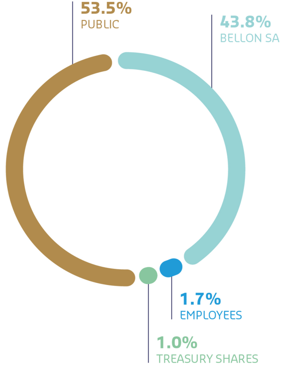 This image provides an overview of the company's capital structure and the distribution of voting rights: Capital Structure: 53.5% Public: A large portion of ownership is held by the public. 43.8% Bellon SA: The majority shareholder. 1.7% Employees, 1.0% Self-Holding: Small shares held by employees and the company itself.
